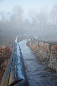 Steg-Nebel